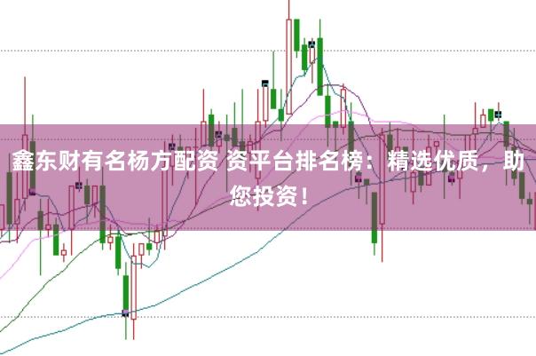 鑫东财有名杨方配资 资平台排名榜：精选优质，助您投资！